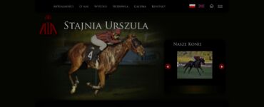 stajniaurszula.pl